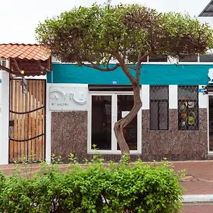 Hotel Ayre By Baltra, Puerto Ayora (Galapagos Islands)